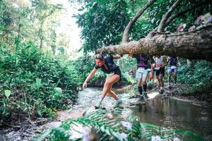 BIB: 
                            <button type="button" onclick="openModal(25438854)" class="btn btn-primary btn-sm float-right btn-popup" data-toggle="modal" data-target=".modal-high-quality">
                        <i class="fas fa-shopping-cart"></i> Add to Cart
                    </button>
                                            <button type="button" onclick="isThisMe(25438854, true)" class="btn btn-success btn-sm float-right btn-popup btn-isme hidden" data-toggle="tooltip" data-placement="bottom" title="นี่คือรูปของคุณใช่ไหม คลิกที่นี่เพื่อเอาเข้าอัลบั้ม">
                        <i class="fas fa-plus"></i> Add to album
                    </button>
                    <button type="button" onclick="isThisMe(25438854, false)" class="btn btn-warning btn-sm float-right btn-popup btn-isnotme hidden">
                        <i class="fas fa-ban"></i> Remove from album
                    </button>